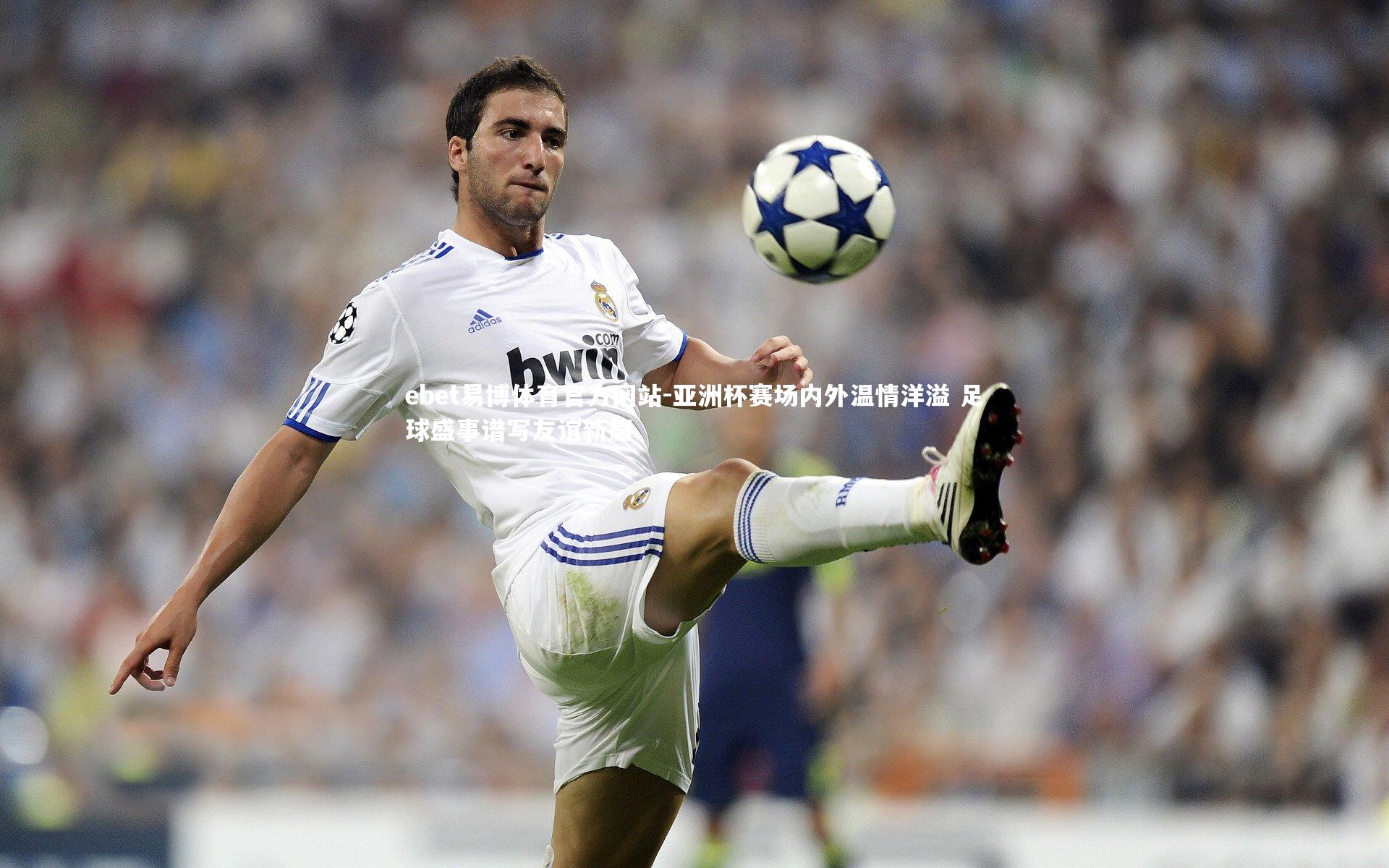 亚洲杯赛场内外温情洋溢 足球盛事谱写友谊新篇