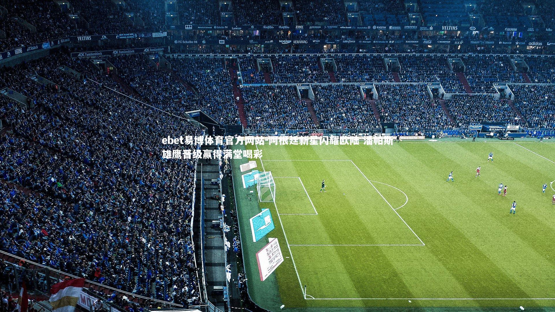 阿根廷新星闪耀欧陆 潘帕斯雄鹰晋级赢得满堂喝彩