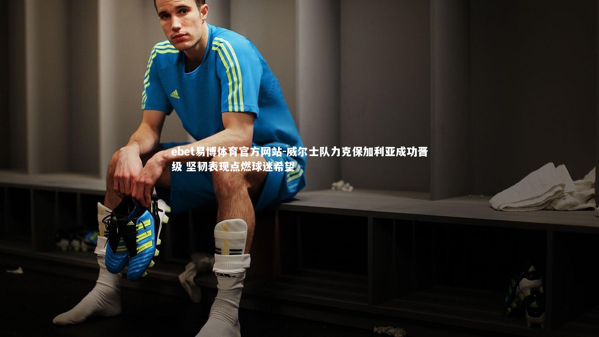 威尔士队力克保加利亚成功晋级 坚韧表现点燃球迷希望