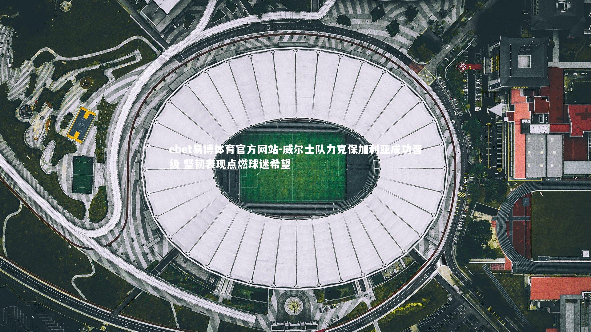 威尔士队力克保加利亚成功晋级 坚韧表现点燃球迷希望